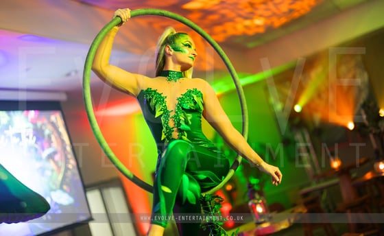 Aerial - Enchanted 1