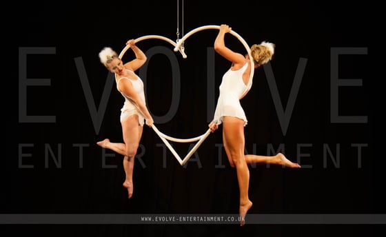 Aerial 3D Heart 3