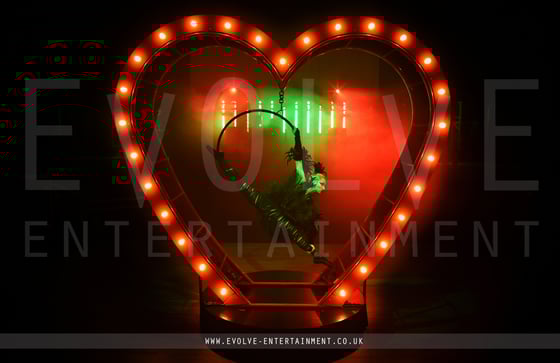 Aerial Heart Prop - Black Swan Halloween Aerial Hoop 2 LR