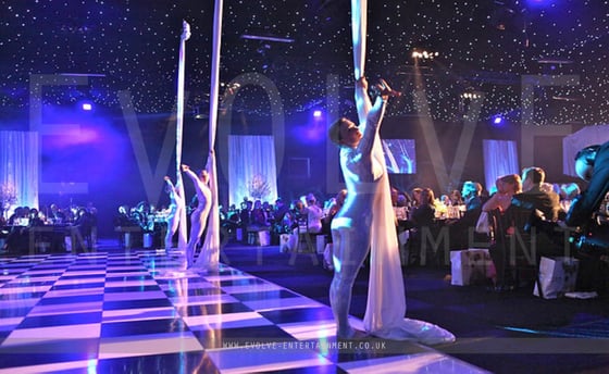 Aerial Silks Trio 1
