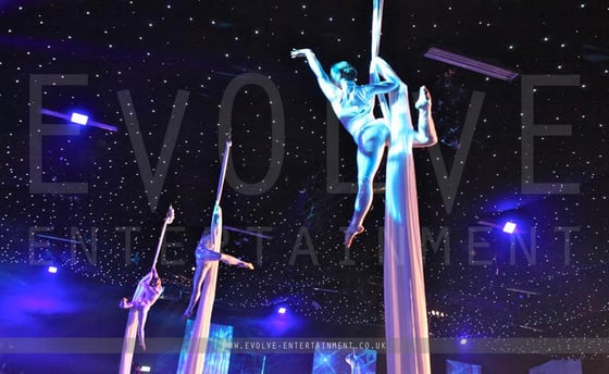 Aerial Silks Trio 2