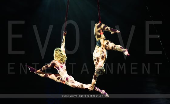 Aerial straps Duo - 1