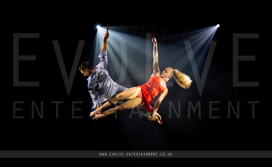 Aerial straps Duo - 3