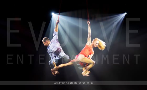 Aerial straps Duo - 5