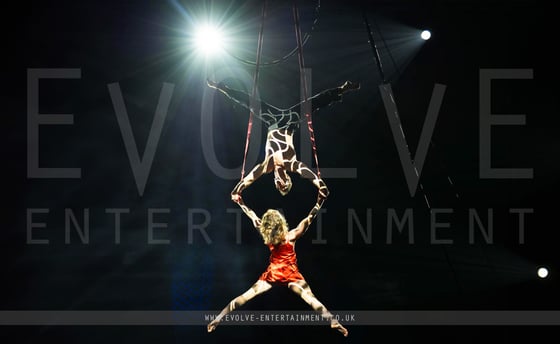 Aerial straps Duo - 6