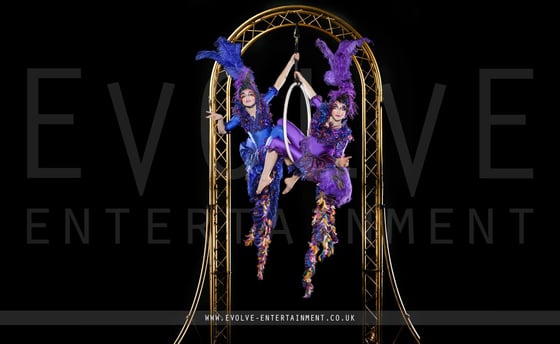 Aerial-Bird-Cage-1