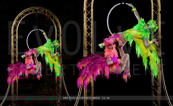 Aerial-Bird-Cage-2