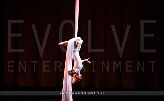Aerial-Grace-Silks Duo 3