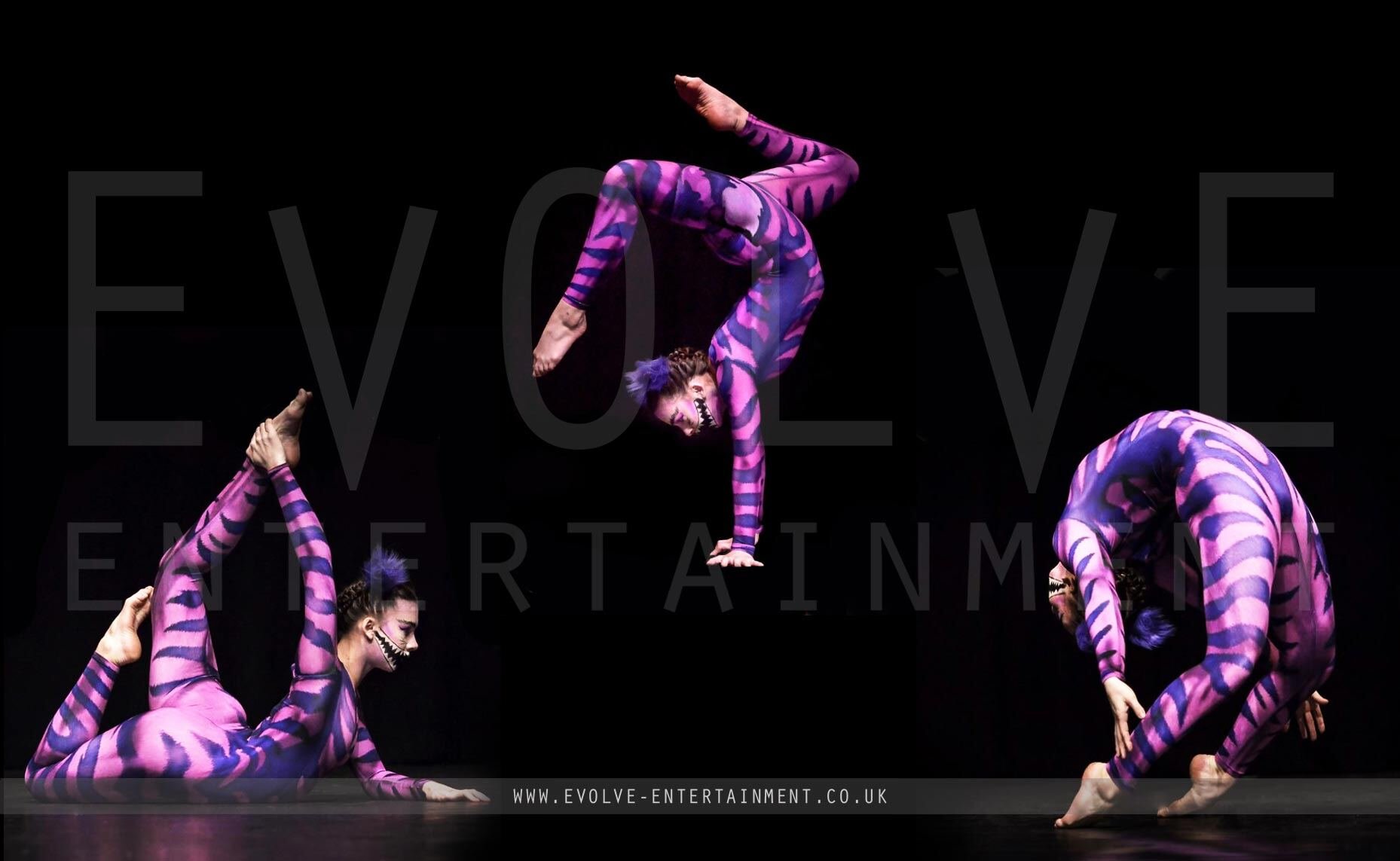 Alice-in-Wonderland-Cheshire-Cat-contortion
