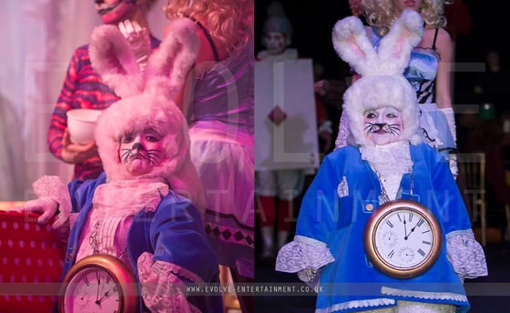 Alice-in-Wonderland-Small-White-Rabbit
