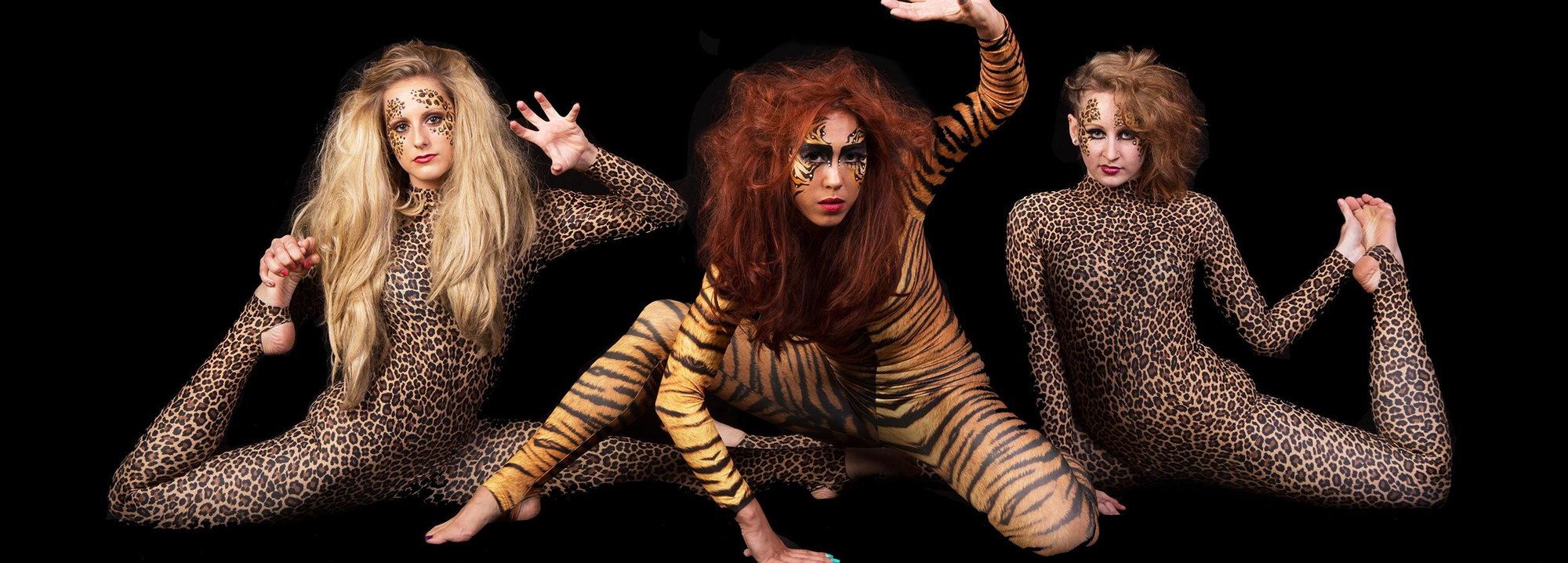 Animal-Acro-Dancers