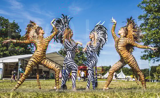 Animal-Interactive-acro-16-3