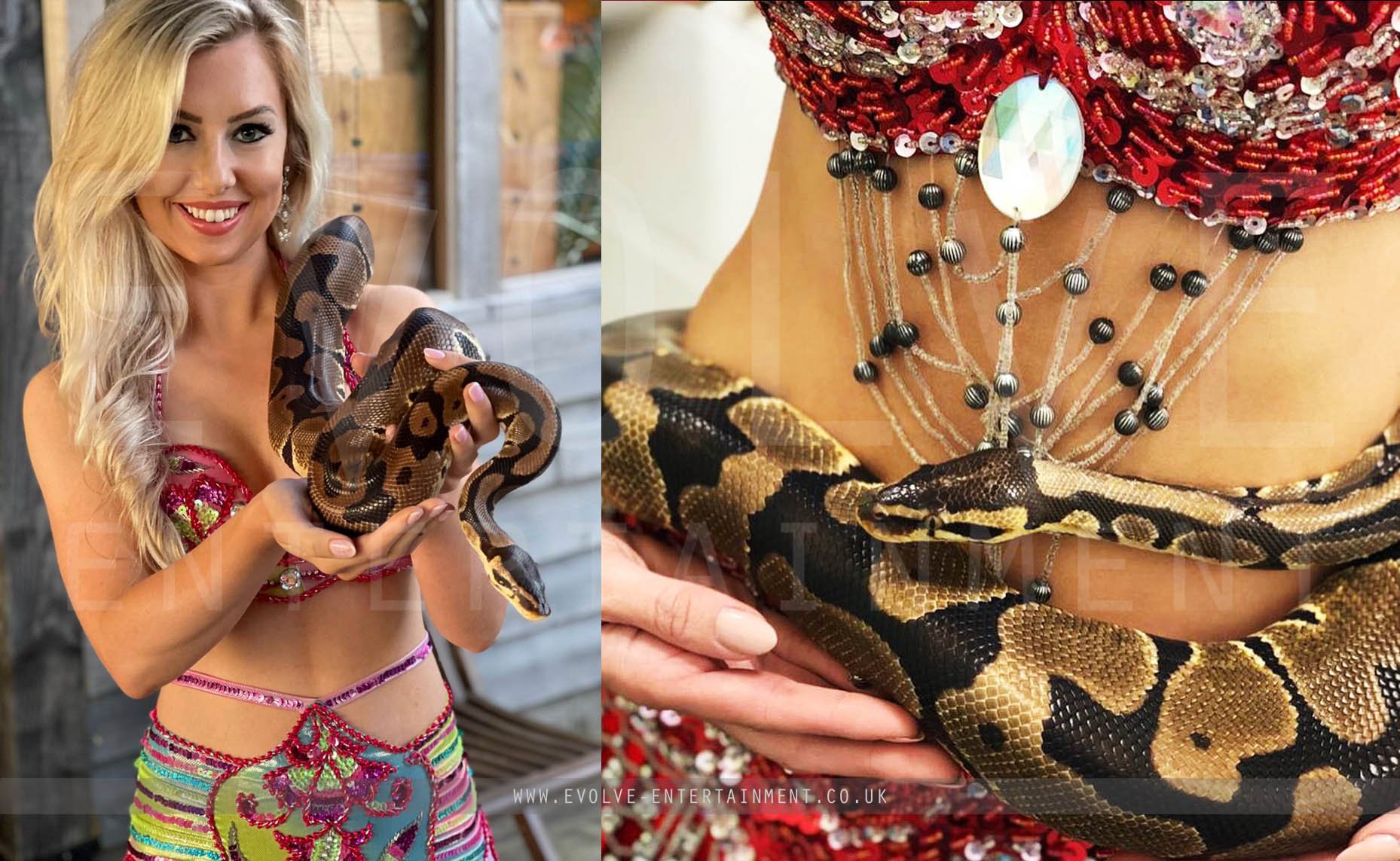 Belly Dancing Snake Performer 1