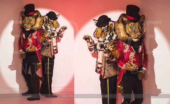 Big Cats Circus 3