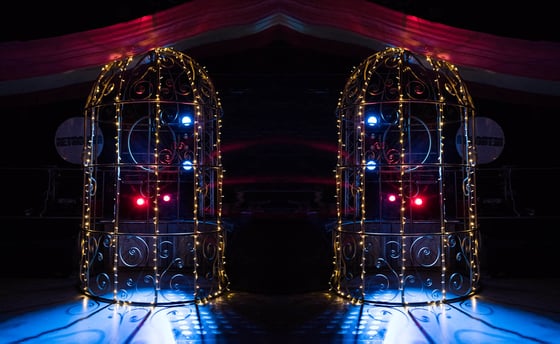 Birdcage Prop 4