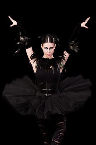 Black Swan Close Up (LR)