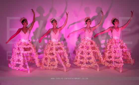Blossom-Ballet-3