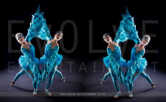 Blue Bird Ballerinas 4