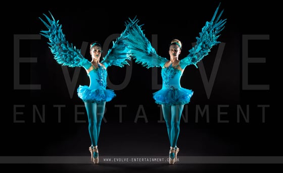 Blue Bird Ballerinas 5-1
