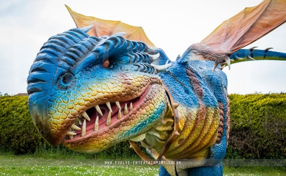 Blue-Dragon-8