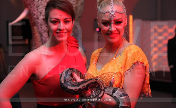 Bollywood-2