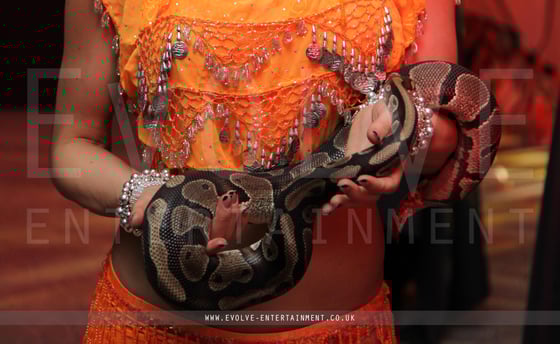 Bollywood-Snake-Charmer-3