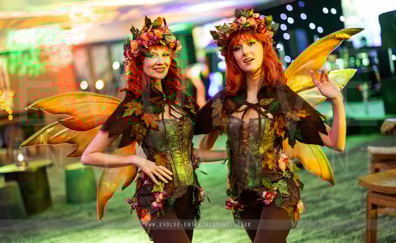 Brown Fairies - Enchanted 1-1
