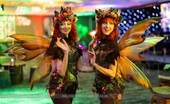 Brown Fairies - Enchanted 2-1