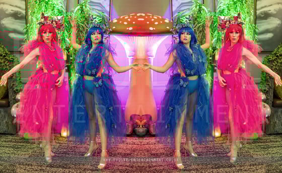 Butterfles - Enchanted 1