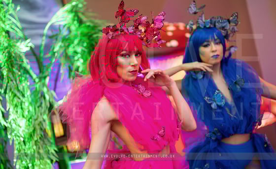 Butterfles - Enchanted 4-1