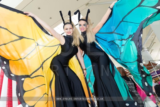 Butterflies - yellow and blue 2