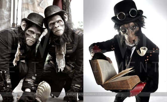 Chimps 2