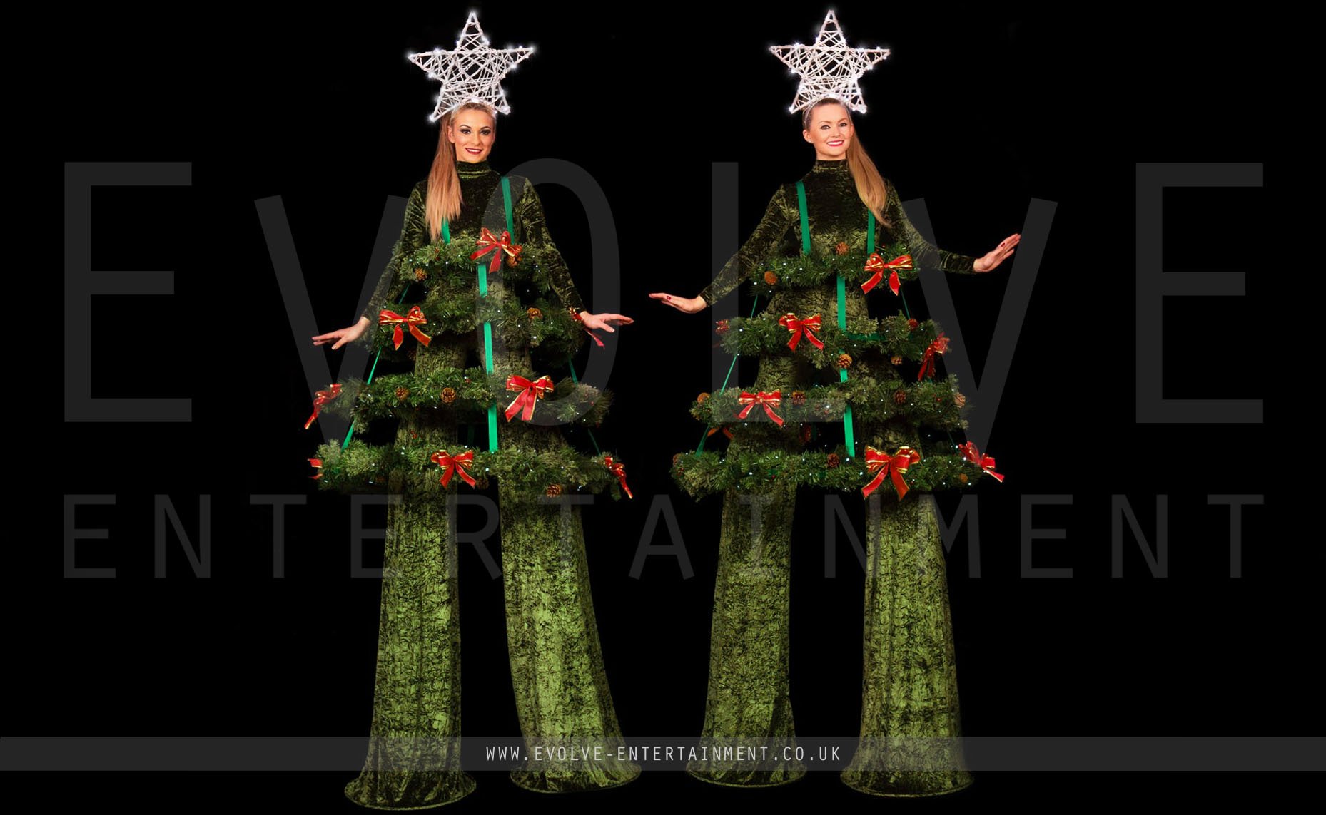 Christmas-Trees-17