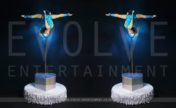 Circus Freestanding Aerial Hoop - 1