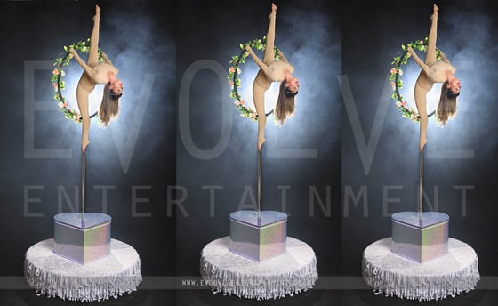 Circus Freestanding Aerial Hoop - 5
