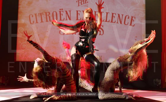 Circus Theme 15