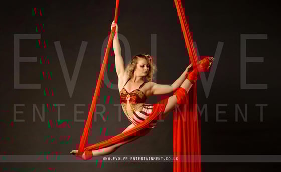 Circus-Aerial-Silks-1