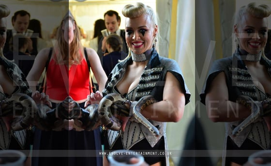 Circus-Ringmaster-Snake