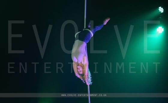 Contemporary Aerial Rope 1