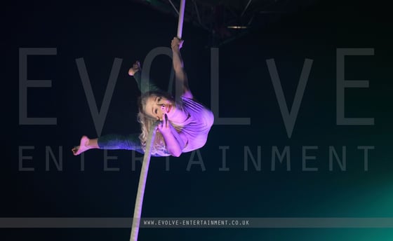 Contemporary Aerial Rope 2