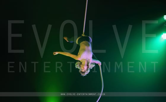 Contemporary Aerial Rope 4