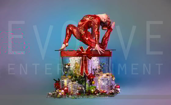 Contortion Delights Christmas 2