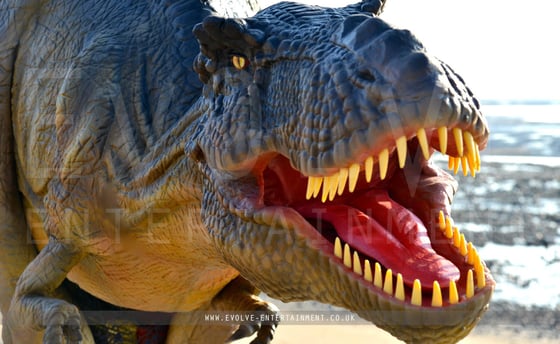 Dinos-2