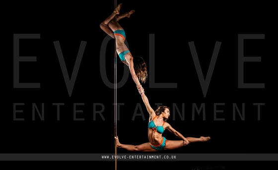 Duo-Pole-1