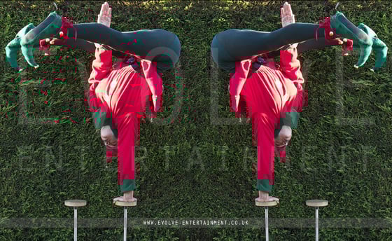 Elf-Balance-1