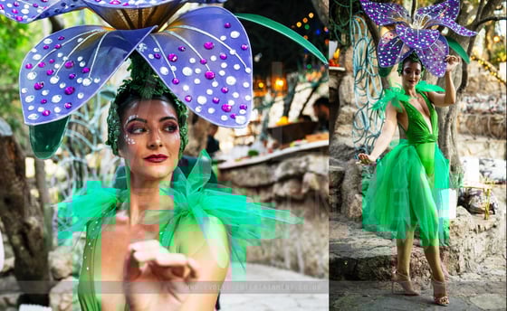 Enchanted Theme 2