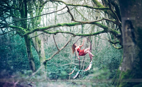 Enchanted Theme 3