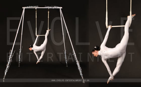 Enchanted Winter Aerial Rig 1 -1