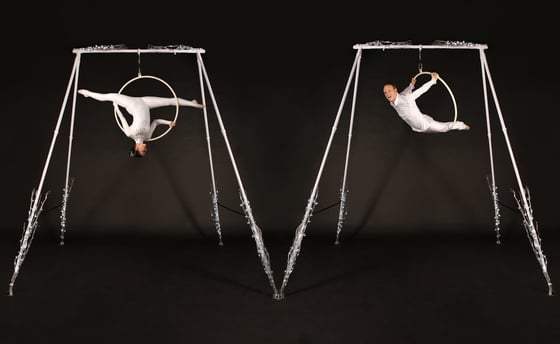 Enchanted Winter Aerial Rig 2