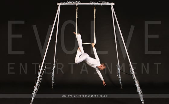 Enchanted Winter Aerial Rig 3